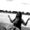 Avatar_small