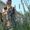 Avatar_small