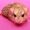 Avatar_small