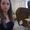 Avatar_small