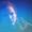 Avatar_small