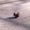 Avatar_small