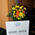 Cedarrapidshotel C.