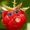 Avatar_small