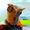 Avatar_small