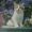 Avatar_small