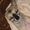 Avatar_small