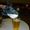 Avatar_small