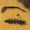 Avatar_small