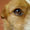 Avatar_small