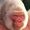 Avatar_small