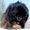 Avatar_small