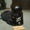 Avatar_small