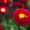 Avatar_small