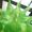 Avatar_small