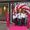 T-Mobile Lisse
