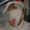 Avatar_small