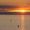 Avatar_small