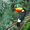 Avatar_small