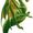 Avatar_small