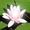 Avatar_small