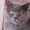 Avatar_small