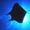 Avatar_small