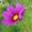 Avatar_small