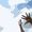 Avatar_small