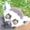 Avatar_small
