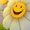 Avatar_small