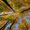 Avatar_small