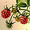 Avatar_small