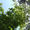 Avatar_small