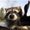 Avatar_small