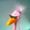 Avatar_small