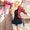 Avatar_small