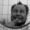 Avatar_small