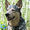 Avatar_small
