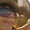Avatar_small