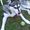 Avatar_small