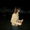 Avatar_small