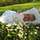 Gerstner-kindermoden-2479737-featured