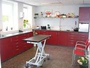Dierenarts-dierenkliniek-ijsselmuiden-gezelschapsdieren-and-paarden-647429-featured