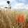Constis-toller-spot-4732466-featured