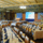 Hofbraukeller-4995425-featured