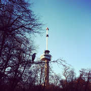 Euromast_2435205_featured