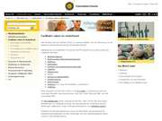 Espressobar-gutenberg-4969705-featured
