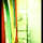 Espresso - 12.08.10