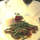 Green-cottage-10603-featured